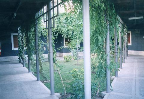 jardin2.jpg